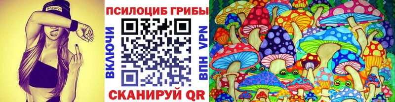 Псилоцибиновые грибы Psilocybine cubensis Пестово